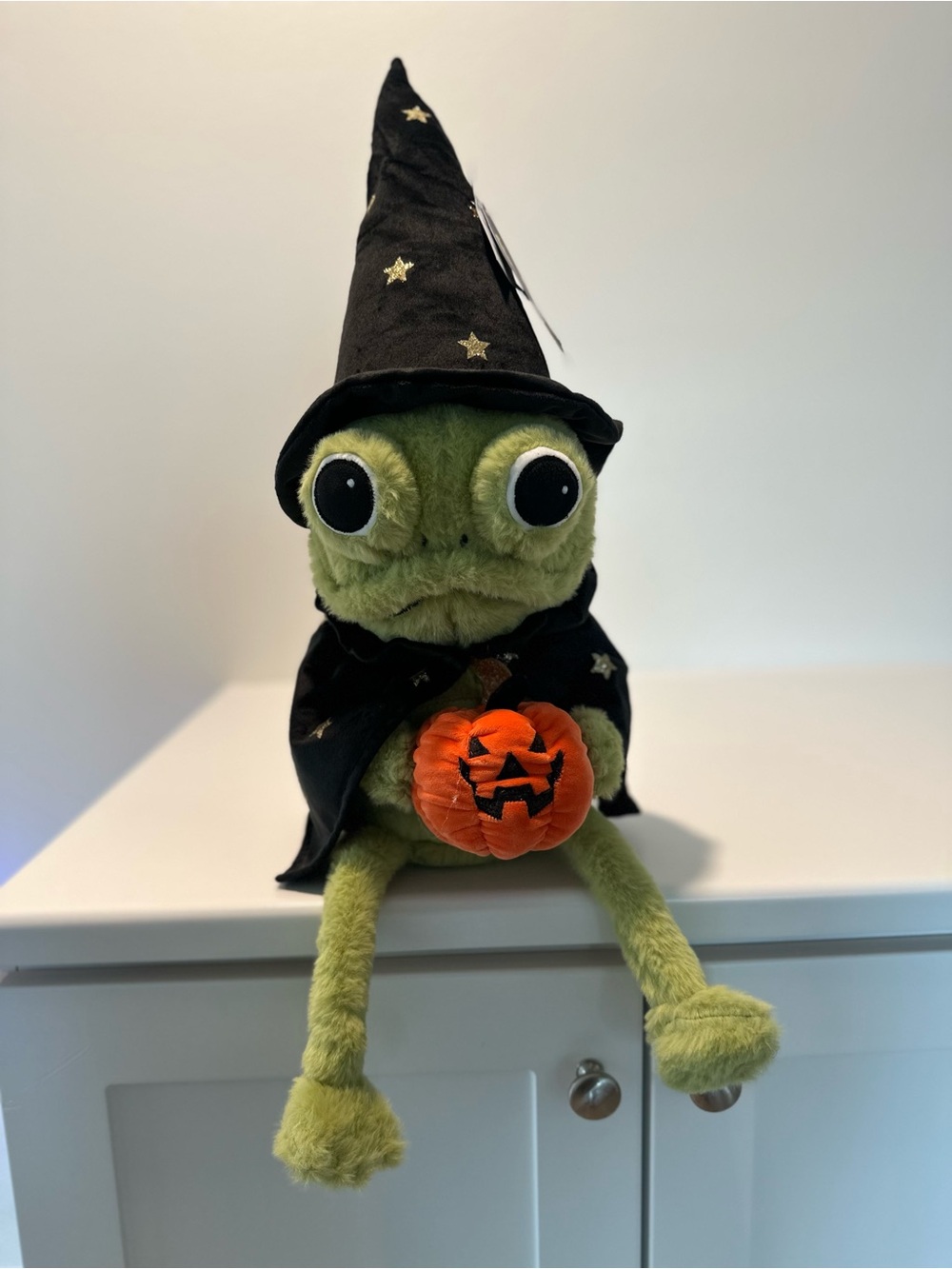 Plush Frog Halloween Costume with Pumpkin - Black & Green